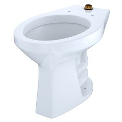 Inodoro Altura para Discapacitados