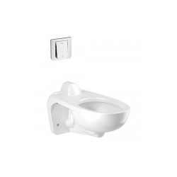 WC Suspendida con Fluxómetro  Truflush
